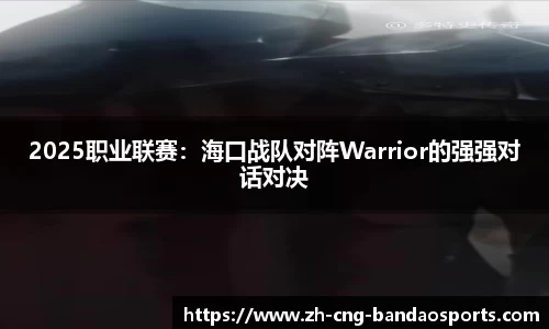 2025职业联赛：海口战队对阵Warrior的强强对话对决